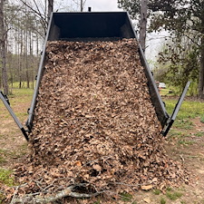 Leaf-Cleanup-and-Removal-in-Oxford-MS 10